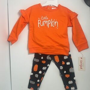 NWT Pumpkin 🎃 long sleeve thick shirt and matching pants. 12 Month old in size